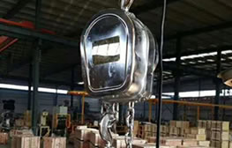 食品車(chē)間：不銹鋼手拉葫蘆保食材吊運(yùn)潔凈安全